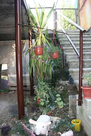 Гостевой дом Guest House TeyMiya Гагра-7